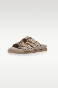 As Summer Suede