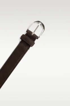 Basic Belt