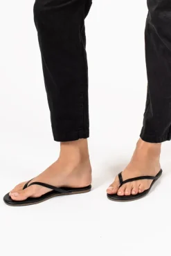 Lily Liners