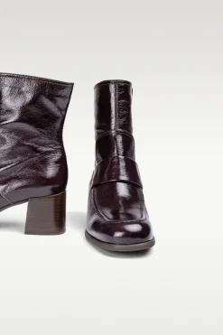 Lippi