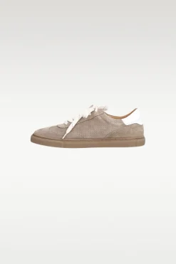 Sport suede - A8581